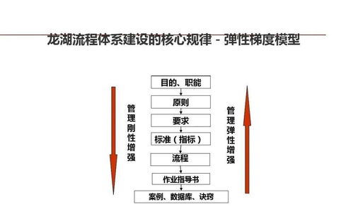 标杆 龙湖 企业管理与运营精细化管理