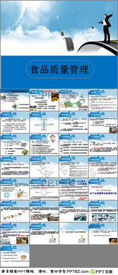 食品质量ppt